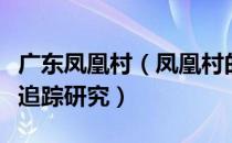 广东凤凰村（凤凰村的变迁：华南的乡村生活追踪研究）