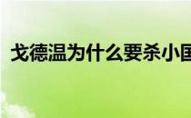 戈德温为什么要杀小国王（戈德温·安特维）