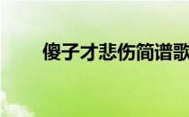 傻子才悲伤简谱歌谱（傻子才悲伤）