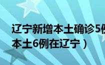 辽宁新增本土确诊5例（31省新增确诊21例 本土6例在辽宁）