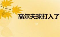 高尔夫球打入了长草区击球技巧