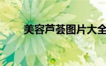 美容芦荟图片大全（美容芦荟加盟）