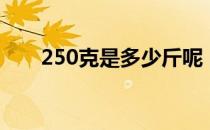 250克是多少斤呢（250克是多少斤）