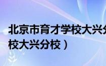 北京市育才学校大兴分校（关于北京市育才学校大兴分校）