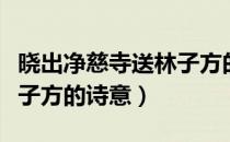 晓出净慈寺送林子方的板书（晓出净慈寺送林子方的诗意）