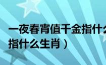 一夜春宵值千金指什么生肖（一夜春宵值千金指什么生肖）