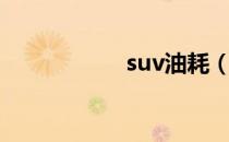 suv油耗（suv油耗）