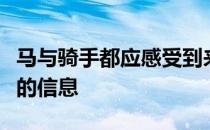 马与骑手都应感受到来自对方的微妙而又精确的信息