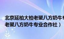 北京延柏大柏老聚八方奶牛专业合作社（关于北京延柏大柏老聚八方奶牛专业合作社）