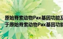 原始脊索动物Pax基因功能及文昌鱼实验室模式系统建立 关于原始脊索动物Pax基因功能及文昌鱼实验室模式系统建立