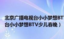 北京广播电视台小小梦想BTV少儿春晚（关于北京广播电视台小小梦想BTV少儿春晚）