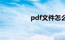 pdf文件怎么编辑（pd）