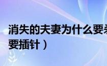 消失的夫妻为什么要杀人（消失的夫妻为什么要插针）