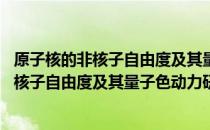 原子核的非核子自由度及其量子色动力研究 关于原子核的非核子自由度及其量子色动力研究