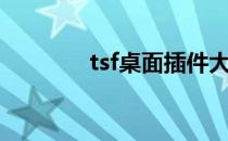 tsf桌面插件大全（tsf桌面）