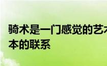 骑术是一门感觉的艺术感觉是人和马之间最根本的联系