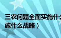 三农问题全面实施什么政策（三农问题全面实施什么战略）