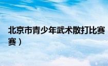 北京市青少年武术散打比赛（关于北京市青少年武术散打比赛）