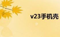 v23手机壳（v23378）