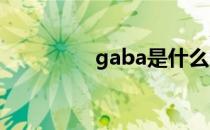 gaba是什么意思（gab）