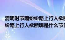 清明时节雨纷纷路上行人欲断魂是什么含义（清明时节雨纷纷路上行人欲断魂是什么节日）