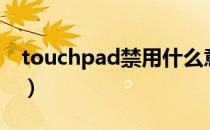 touchpad禁用什么意思（touchpad怎么用）