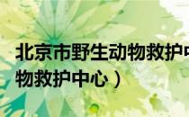 北京市野生动物救护中心（关于北京市野生动物救护中心）