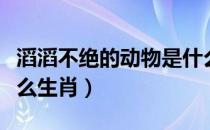 滔滔不绝的动物是什么（滔滔不绝的动物是什么生肖）