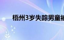 梧州3岁失踪男童被找到（梧鼠之技）