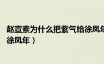 赵宣素为什么把紫气给徐凤年 章节（赵宣素为什么把紫气给徐凤年）