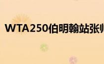 WTA250伯明翰站张帅因膝伤严重被迫退赛