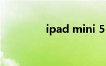 ipad mini 5（ipad点菜）