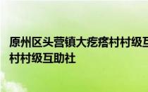 原州区头营镇大疙瘩村村级互助社 关于原州区头营镇大疙瘩村村级互助社