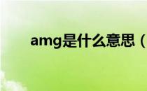 amg是什么意思（amg是什么意思）