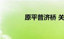 原平普济桥 关于原平普济桥