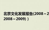 北京文化发展报告(2008～2009)（关于北京文化发展报告(2008～2009)）