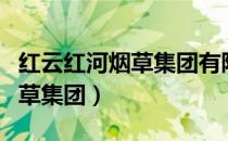 红云红河烟草集团有限责任公司（红云红河烟草集团）