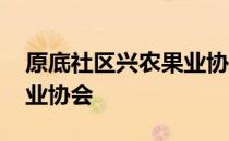 原底社区兴农果业协会 关于原底社区兴农果业协会