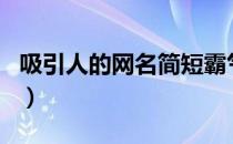 吸引人的网名简短霸气两个字（吸引人的网名）