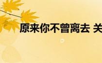 原来你不曾离去 关于原来你不曾离去