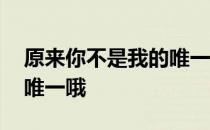 原来你不是我的唯一哦 关于原来你不是我的唯一哦