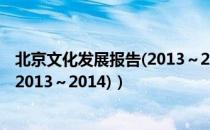 北京文化发展报告(2013～2014)（关于北京文化发展报告(2013～2014)）