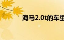 海马2.0t的车型（海马2两厢）