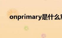 onprimary是什么意思（onprimary）