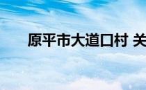 原平市大道口村 关于原平市大道口村