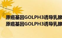 原癌基因GOLPH3诱导乳腺癌转移的分子机制的研究 关于原癌基因GOLPH3诱导乳腺癌转移的分子机制的研究