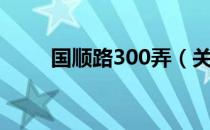 国顺路300弄（关于国顺路300弄）