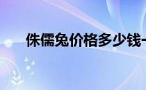 侏儒兔价格多少钱一只（侏儒兔价格）