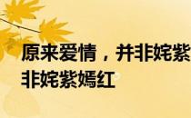 原来爱情，并非姹紫嫣红 关于原来爱情，并非姹紫嫣红