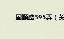 国顺路395弄（关于国顺路395弄）